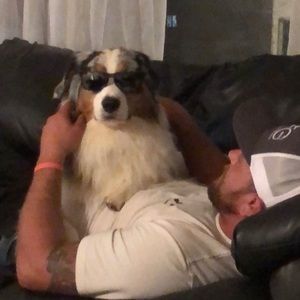 Meet your Posher, Alex